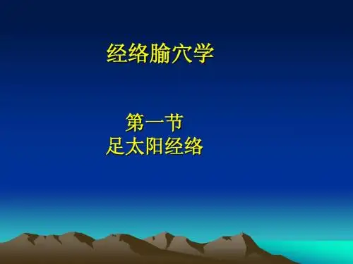 7.膀胱经