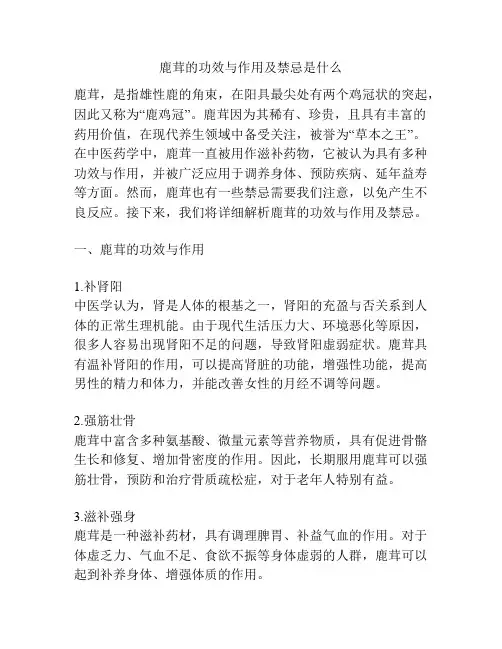 鹿茸的功效与作用及禁忌是什么