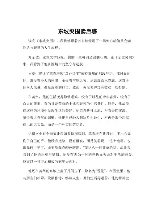 东坡突围读后感