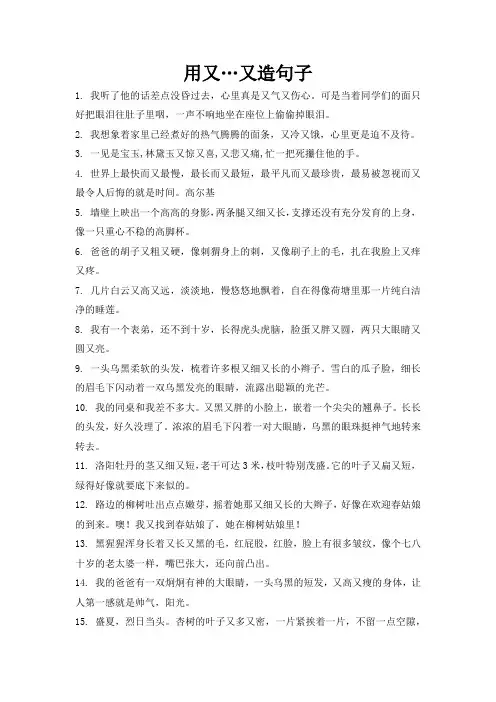 用又…又造句子