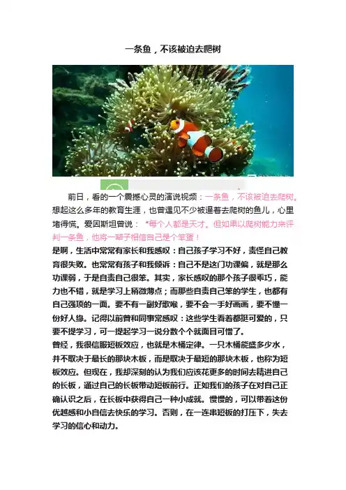 一条鱼，不该被迫去爬树
