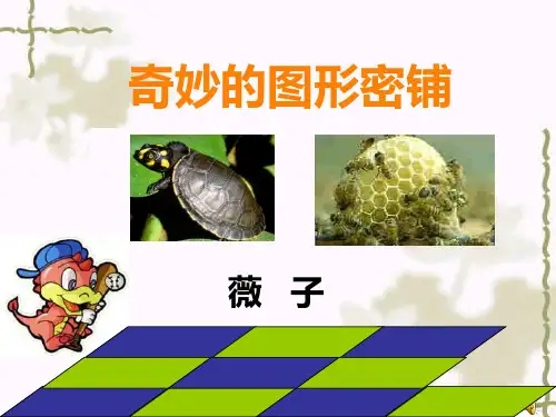 奇妙的图形密铺
