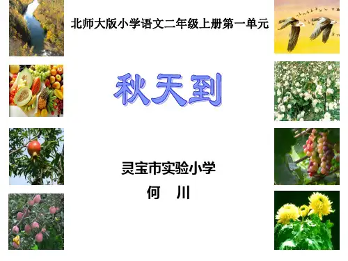 秋天到PPT教学课件