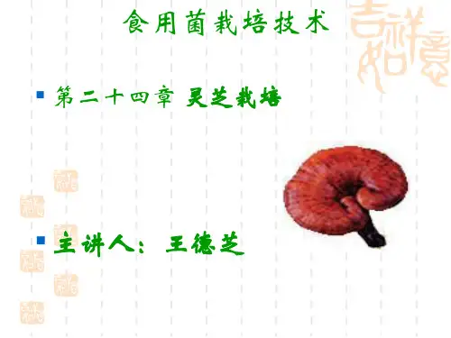 食用菌生产技术 灵芝栽培08