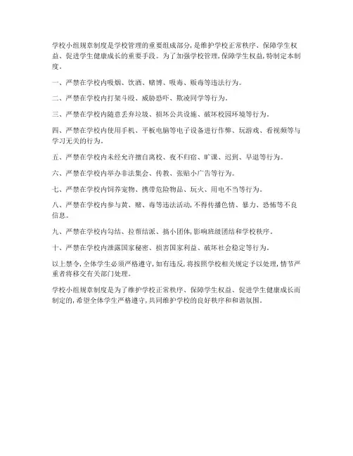 学校小组规章制度十条禁令