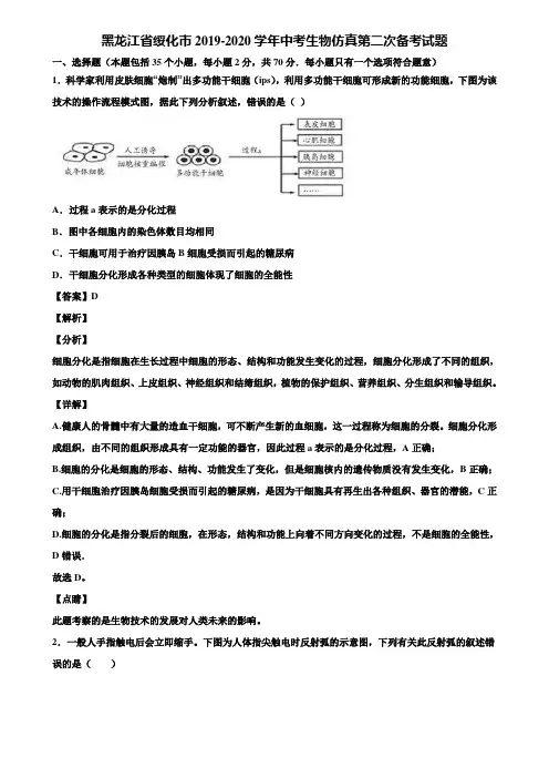 黑龙江省绥化市2019-2020学年中考生物仿真第二次备考试题含解析