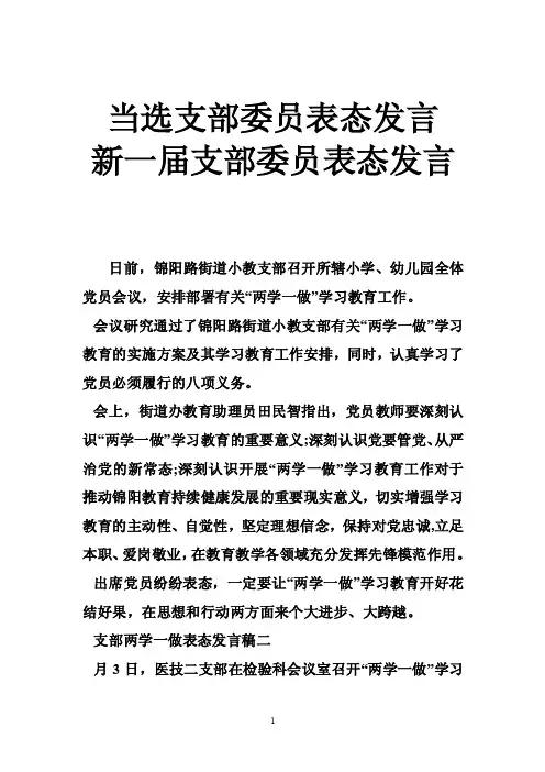 当选支部委员表态发言新一届支部委员表态发言