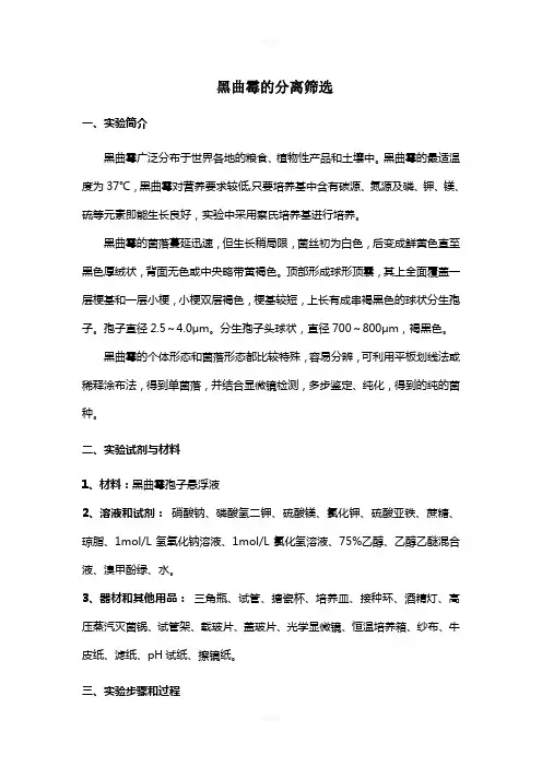 黑曲霉的分离