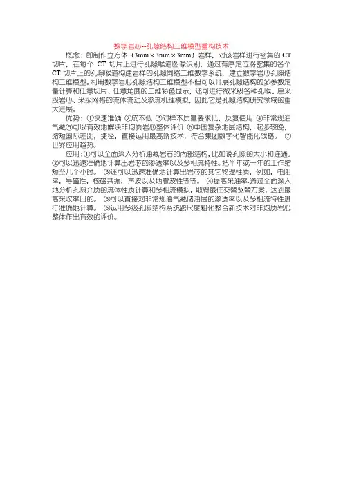数字岩心--孔隙结构三维模型重构技术