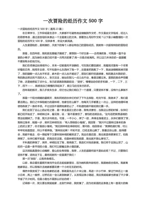 一次冒险的经历作文500字（通用23篇）