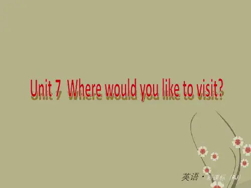 湖北省武汉为明实验学校九年级英语全册 Unit 7-9复习课件 人教新目标版