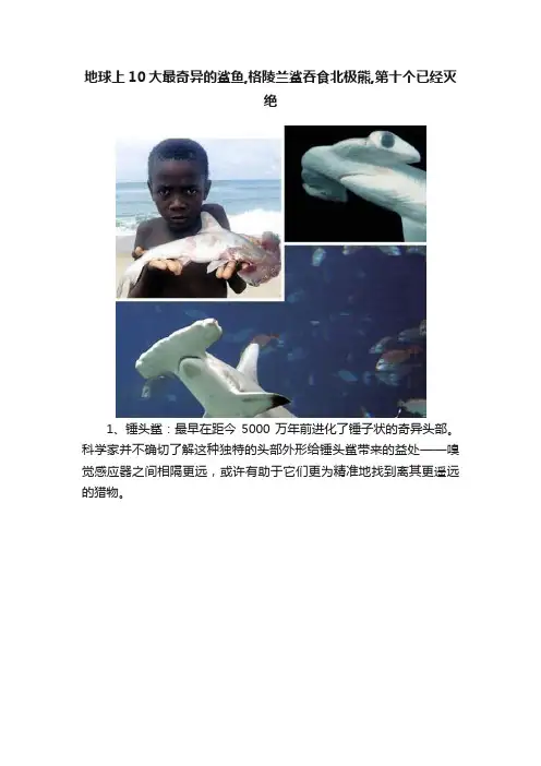 地球上10大最奇异的鲨鱼,格陵兰鲨吞食北极熊,第十个已经灭绝