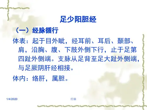针灸学课件足三阳经17足少阳胆经ppt课件