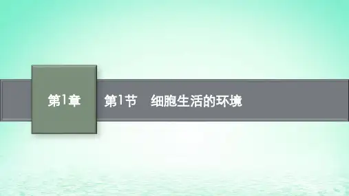 高中生物第1章人体的内环境与稳态第1节细胞生活的环境课件新人教版选择性必修1