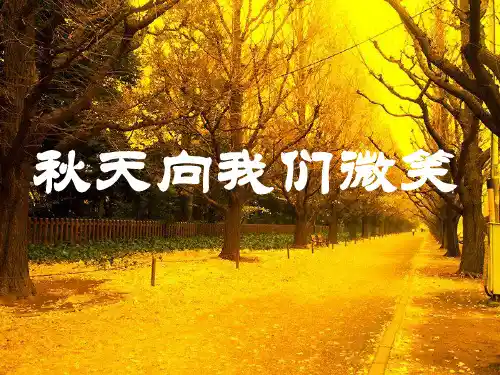(精选)四年级语文上册 第一单元 秋天向我们微笑课件5 西师大版[1]