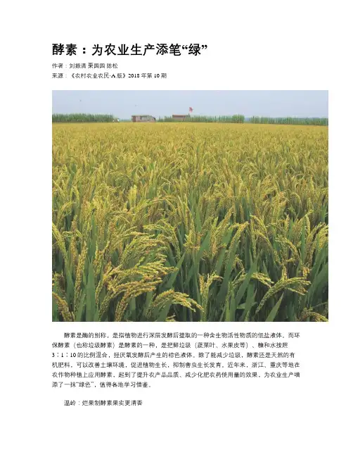 酵素：为农业生产添笔“绿”