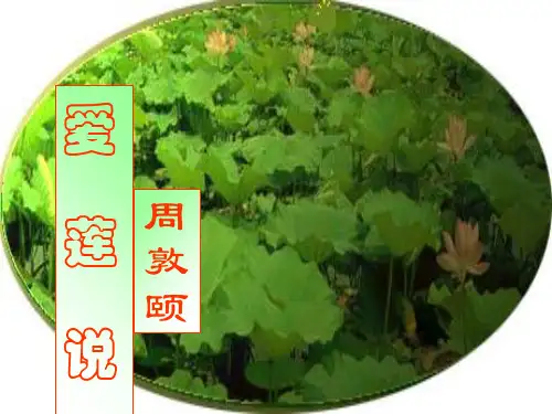 《爱莲说》PPT 优秀课件