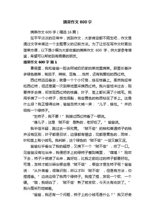 摘菜作文600字（精选16篇）