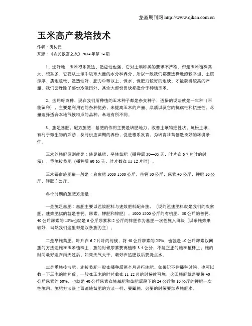 玉米高产栽培技术