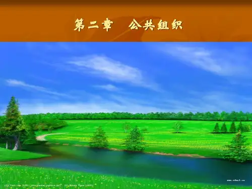 公共组织PPT演示文稿