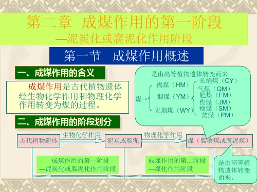 第二章(成煤一阶段)