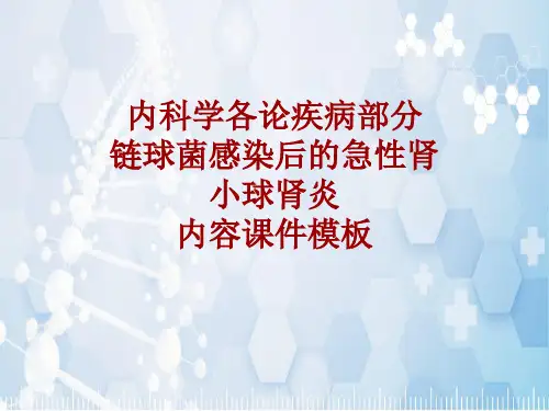 内科学_各论_疾病：链球菌感染后的急性肾小球肾炎_课件模板