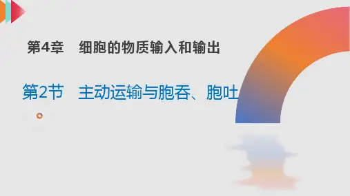 第4章细胞的物质输入和输出复习课件-高一上学期生物人教版必修1