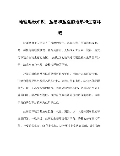 地理地形知识：盐湖和盐荒的地形和生态环境