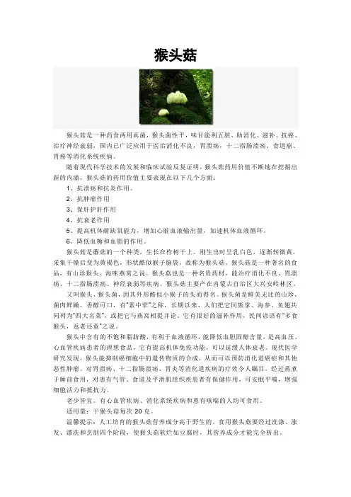 猴头菇