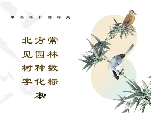园林树木裸子植物