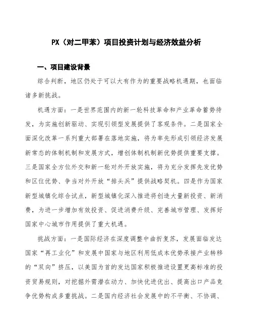 PX(对二甲苯)项目投资计划与经济效益分析