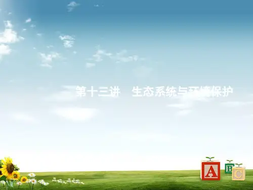 高考生物二轮课件：5-13生态系统与环境保护PPT课件
