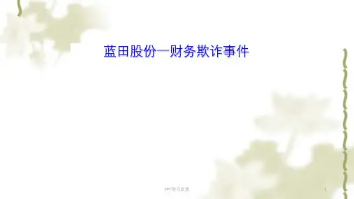 蓝天公司财务造假案例ppt课件