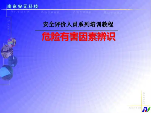安全评价人员系列培训教程