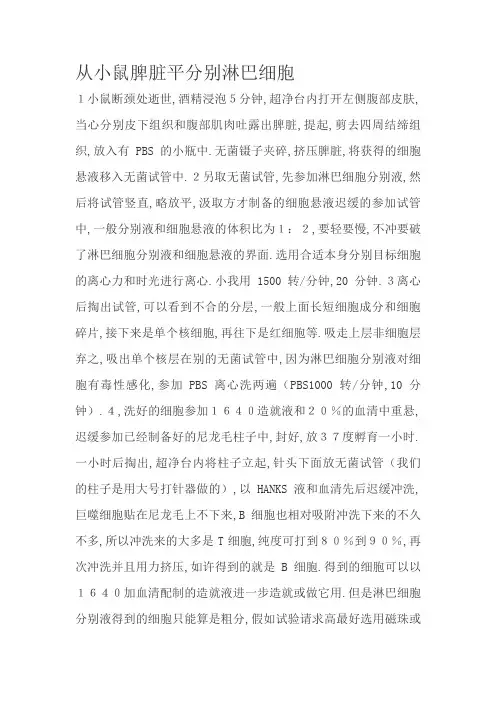 小鼠脾脏中分离淋巴细胞