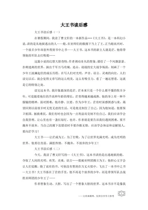 大王书读后感