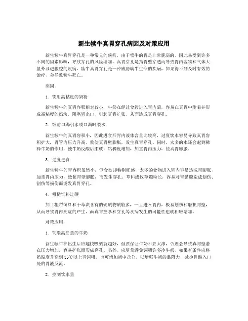 新生犊牛真胃穿孔病因及对策应用