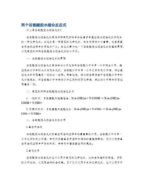 两个谷氨酸脱水缩合反应式