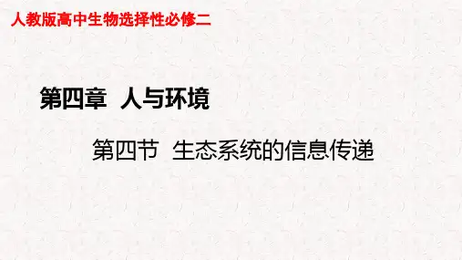 人教版高中生物选择性必修二第三章生态系统及其稳定性(2)