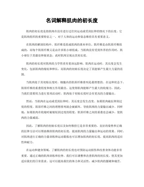 名词解释肌肉的初长度