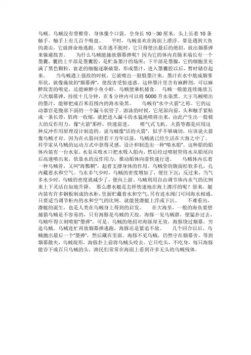 乌贼