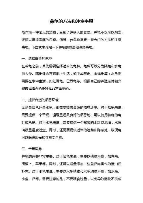 养龟的方法和注意事项