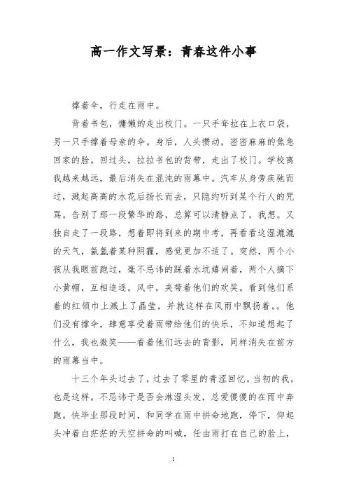 高一作文写景：青春这件小事
