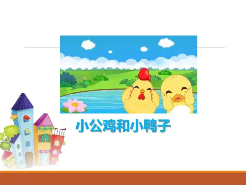 5小公鸡和小鸭子课件(共22张PPT)