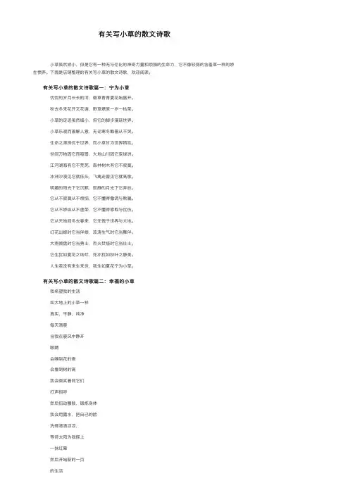 有关写小草的散文诗歌