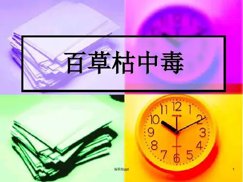 蜂蜇伤PPT课件