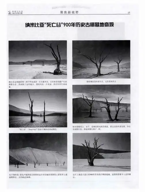 纳米比亚“死亡谷”900年历史古树墓地奇观