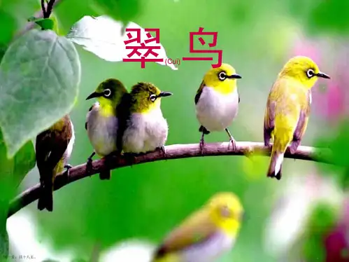 人教版语文三年级下册ppt课件翠鸟