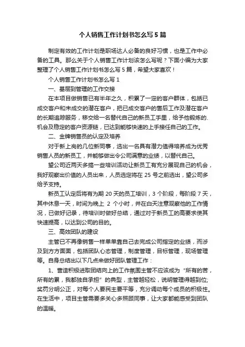 个人销售工作计划书怎么写5篇