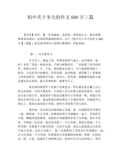 初中关于冬天的作文600字三篇